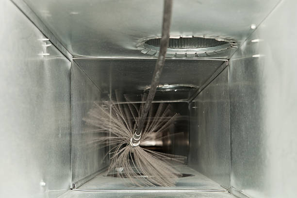 Best Air Duct Sanitizing Services  in Newport, SC